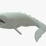 Gray Whale 3D Model