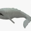 Gray Whale 3D Model Rigged Basemesh Skeleton 3D Model Creature Guard 35