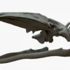 Gray Whale 3D Model