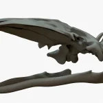 Gray Whale 3D Model