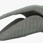 Humpback Whale 3D Model
