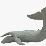 Humpback Whale 3D Model