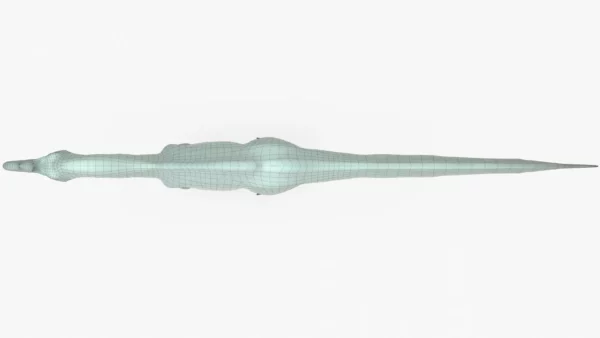 Ichthyovenator 3D Model