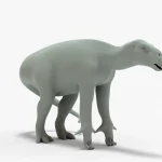 Iguanodon Rigged Basemesh13