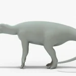 Iguanodon Rigged Basemesh14