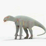 Iguanodon Rigged Basemesh19