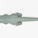 Indoraptor 3D Model