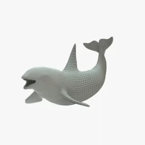 Killer Whale 3D Model Rigged Basemesh
