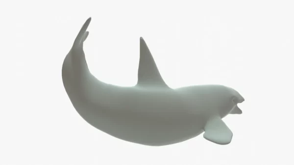 Killer Whale 3D Model Rigged Basemesh 3D Model Creature Guard 10