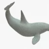 Killer Whale 3D Model Rigged Basemesh 3D Model Creature Guard 32
