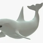 Killer Whale 3D Model
