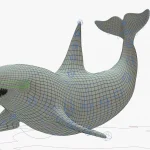 Killer Whale 3D Model