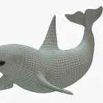 Killer Whale 3D Model