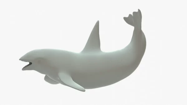Killer Whale 3D Model Rigged Basemesh 3D Model Creature Guard 4