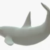 Killer Whale 3D Model Rigged Basemesh 3D Model Creature Guard 26