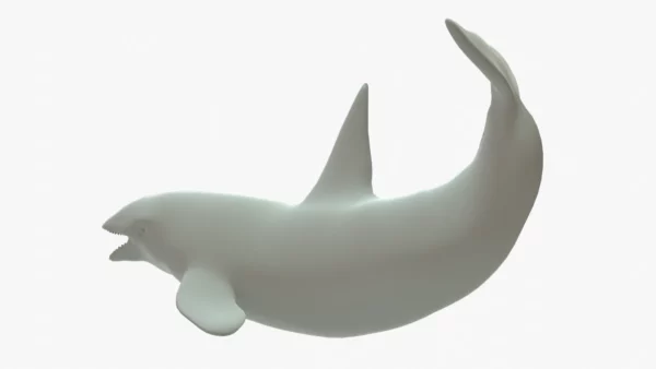 Killer Whale 3D Model Rigged Basemesh 3D Model Creature Guard 6