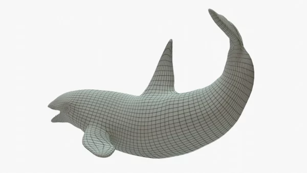 Killer Whale 3D Model Rigged Basemesh 3D Model Creature Guard 7