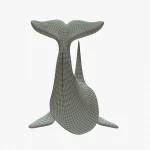 Killer Whale 3D Model