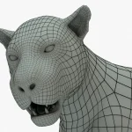 Leopard Rigged Basemesh(10)