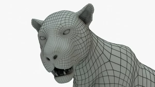 Leopard 3D Model Rigged Basemesh 3D Model Creature Guard 9