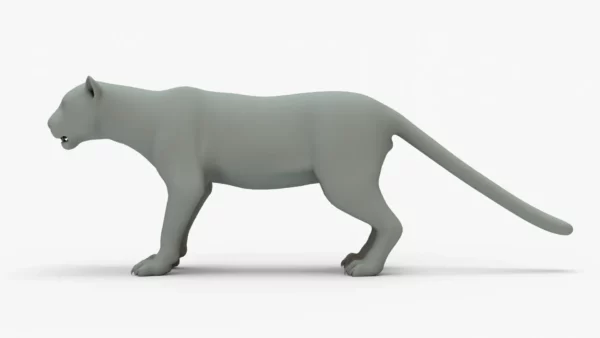 Leopard 3D Model Rigged Basemesh 3D Model Creature Guard 17
