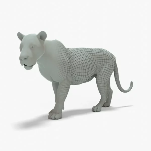 Lion 3D Model Rigged Basemesh