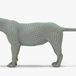 Lion 3D Model