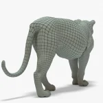 Lion 3D Model