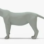 Lioness 3D Model