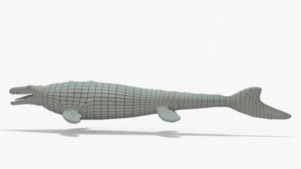 Mosasaurus 3D Model