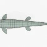 Mosasaurus 3D Model