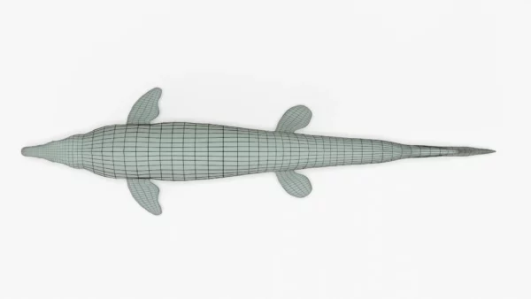 Mosasaurus 3D Model