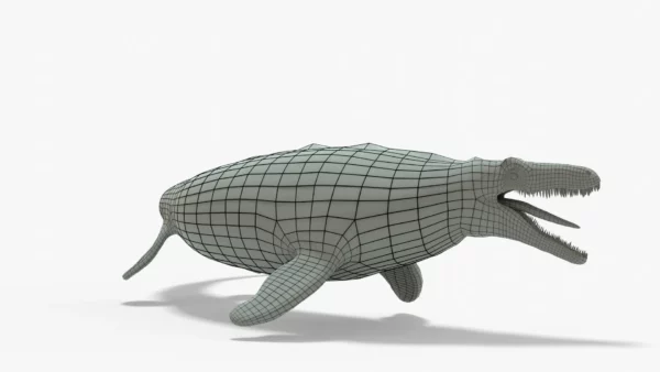 Mosasaurus 3D Model