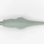Parasaurolophus 3D Model