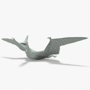 Pteranodon 3D Model Rigged Basemesh