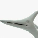Pteranodon 3D Model