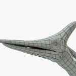 Pteranodon 3D Model