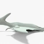 Pteranodon 3D Model
