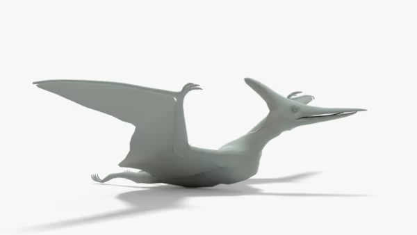 Pteranodon 3D Model Rigged Basemesh 3D Model Creature Guard 8
