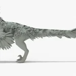 Pyroraptor 3D Model