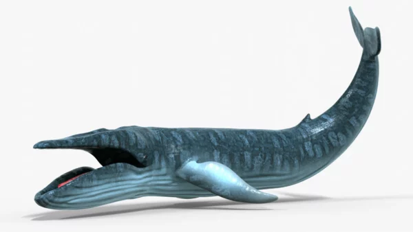 Realistic Blue Whale 3D Model Rigged 3D Model Creature Guard 2