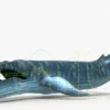 Realistic Blue Whale 3D Model Rigged 3D Model Creature Guard 36