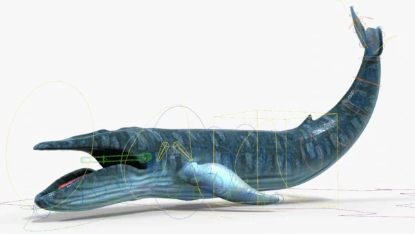 Realistic Blue Whale 3D Model Rigged 3D Model Creature Guard 12