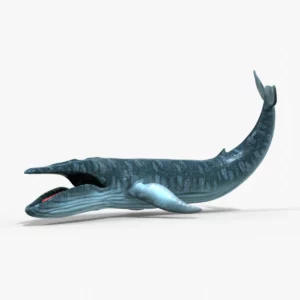 Realistic Blue Whale 3D Model Rigged 3D Model Creature Guard