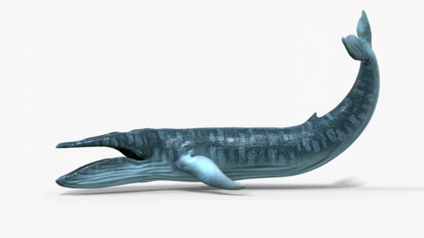 Realistic Blue Whale 3D Model Rigged 3D Model Creature Guard 3