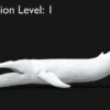 Realistic Blue Whale 3D Model Rigged 3D Model Creature Guard 40