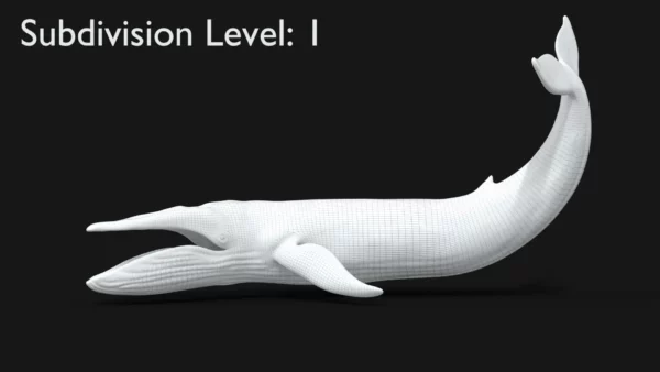 Realistic Blue Whale 3D Model Rigged 3D Model Creature Guard 16