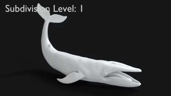 Realistic Blue Whale 3D Model Rigged 3D Model Creature Guard 19