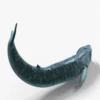 Realistic Blue Whale 3D Model Rigged 3D Model Creature Guard 29