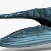 Realistic Blue Whale 3D Model Rigged 3D Model Creature Guard 32